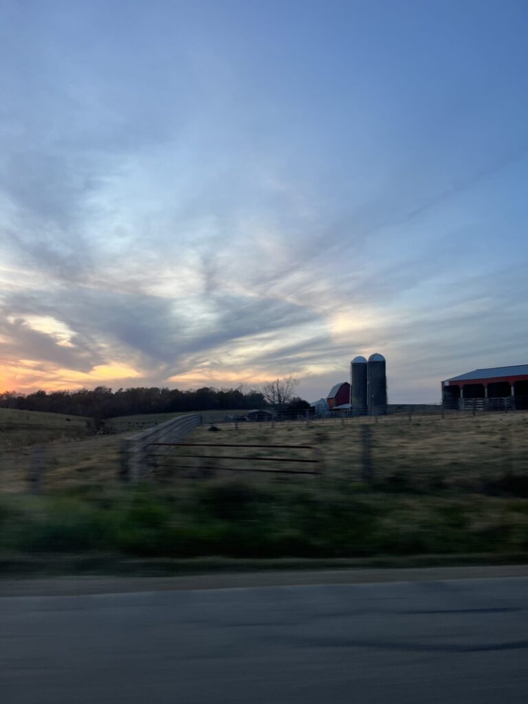 Social Media I Graphics & Photography 3 IMG 1610